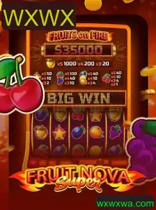 Explorando o Universo de FruitNovaSuper: Regras e Estratégias em Destaque