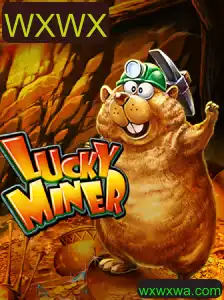 Descobrindo o Mundo de LuckyMiner: Um Guia Completo